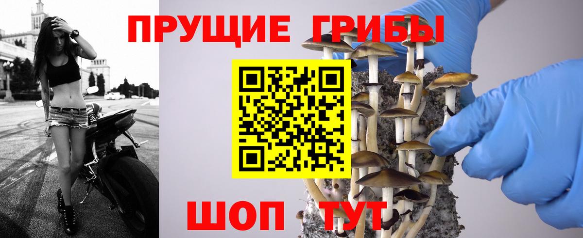 Добрянка  Псилоцибиновые грибы GOLDEN TEACHER  Галлюциногенные грибы Psilocybe  Вход с VPN 